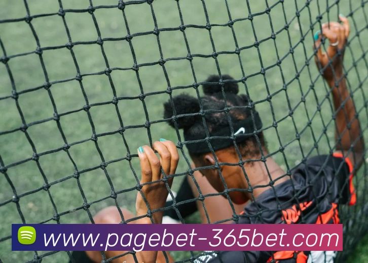 数据防护可视化